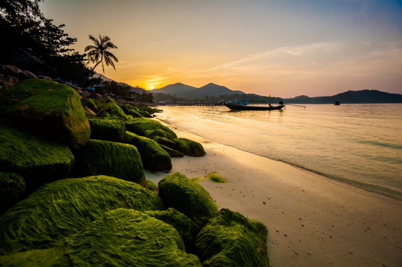 5 reasons to fall in love with Koh Phangan