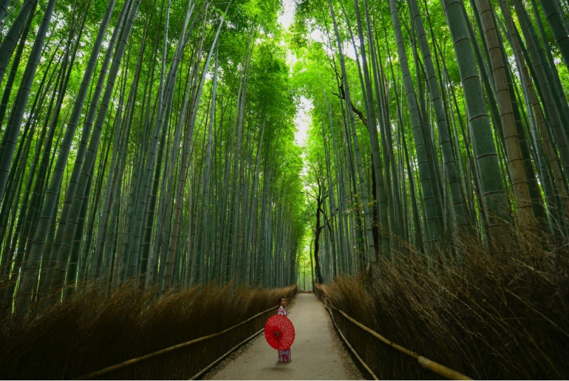 ﻿9 days in Japan: route from travel expert OneTwoTrip