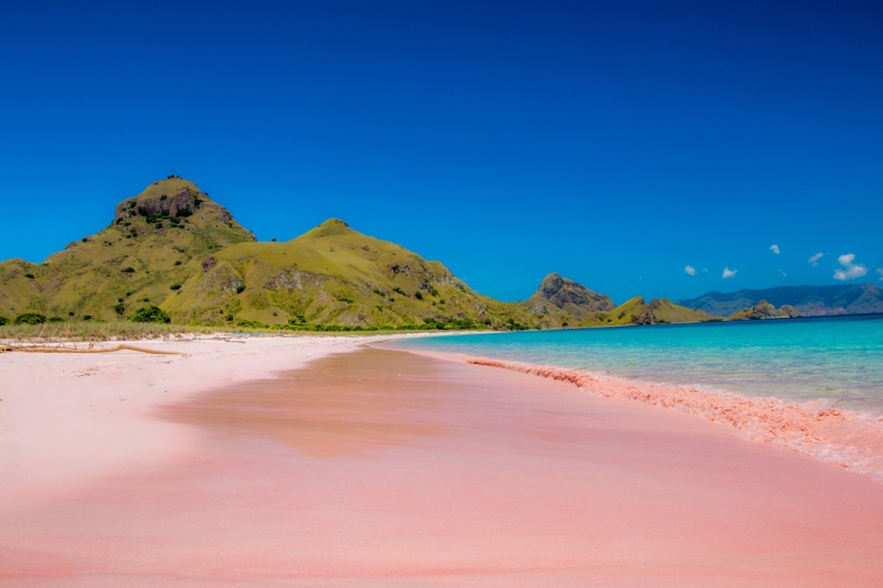 9 reasons to go to Flores