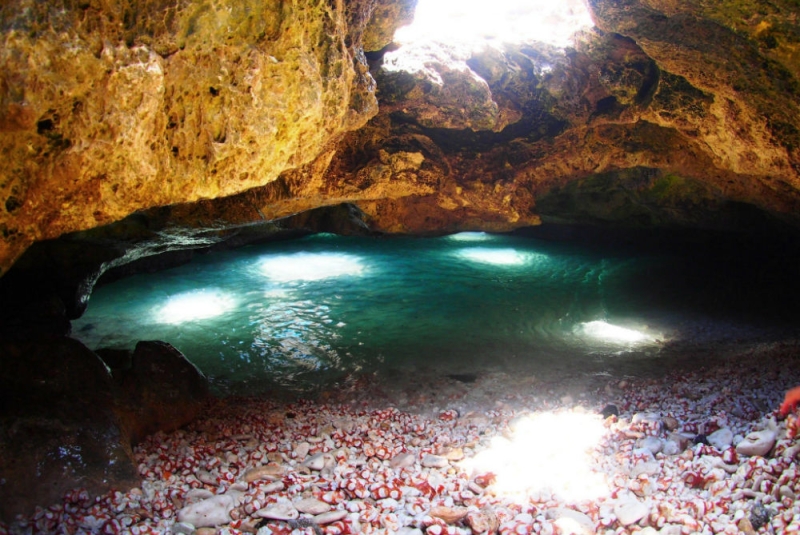 At the ends of the earth: a guide to the beaches and coasts of Oahu (Hawaii)