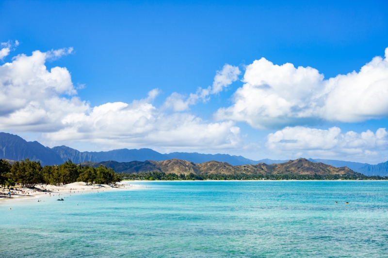 At the ends of the earth: a guide to the beaches and coasts of Oahu (Hawaii)