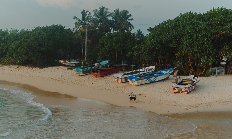 Beaches of the southern coast of Sri Lanka: top 5 locations