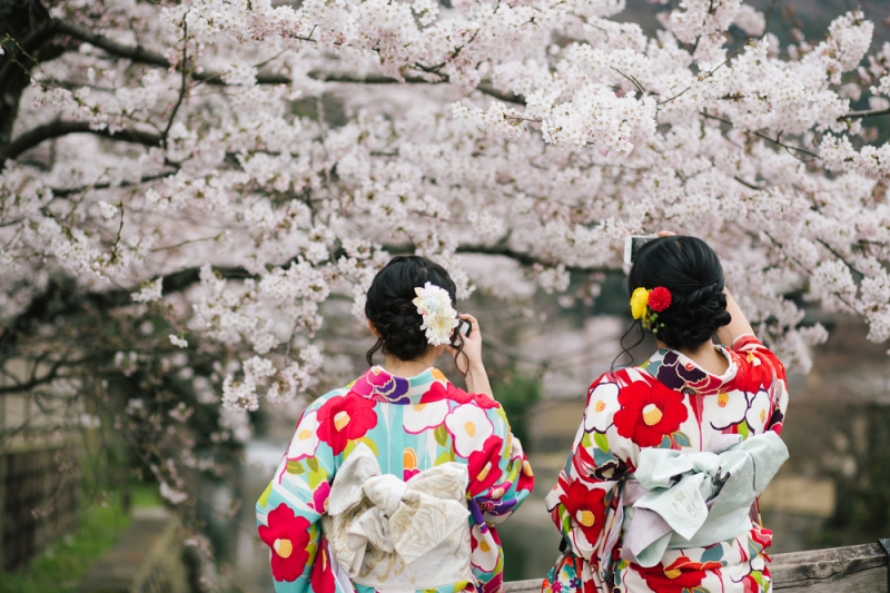 Cherry blossoms in Japan: a guide to parks and regions