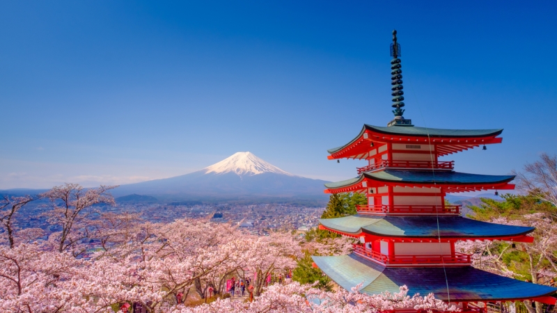 Cherry blossoms in Japan: a guide to parks and regions