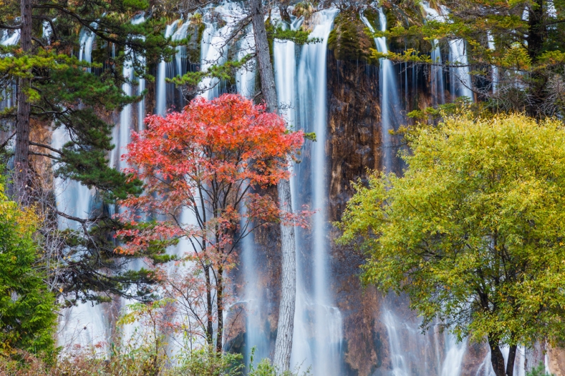 Diverse Sichuan: trekking, pandas and Buddhist shrines