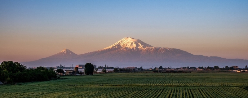 Dolma, falafel and cocktails: gastro guide to Yerevan