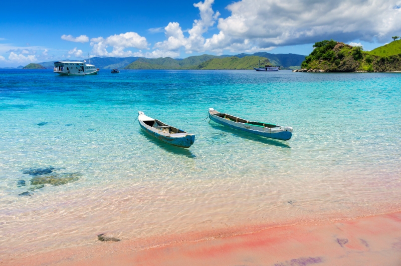 Dragons of Komodo Island