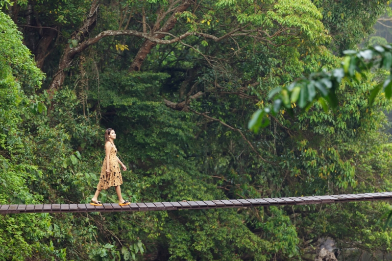 Features of hitchhiking in Thailand