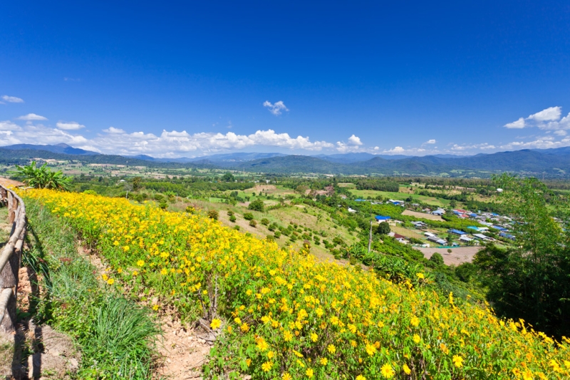 Features of hitchhiking in Thailand