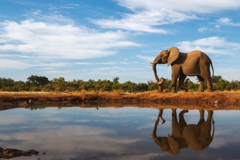 Five places in Africa for the perfect safari