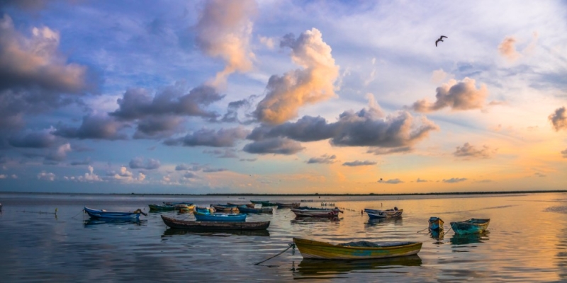 Four routes by train in Sri Lanka