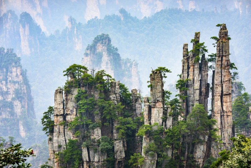 Hunan: Journey to Planet Pandora