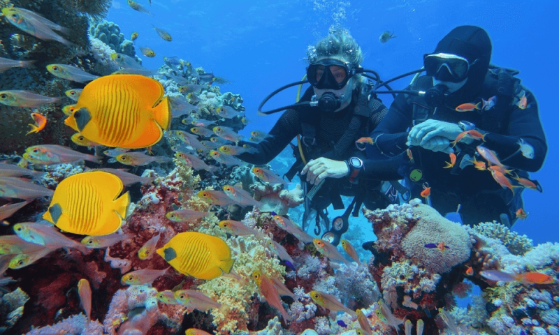 Hurghada or Sharm el-Sheikh?