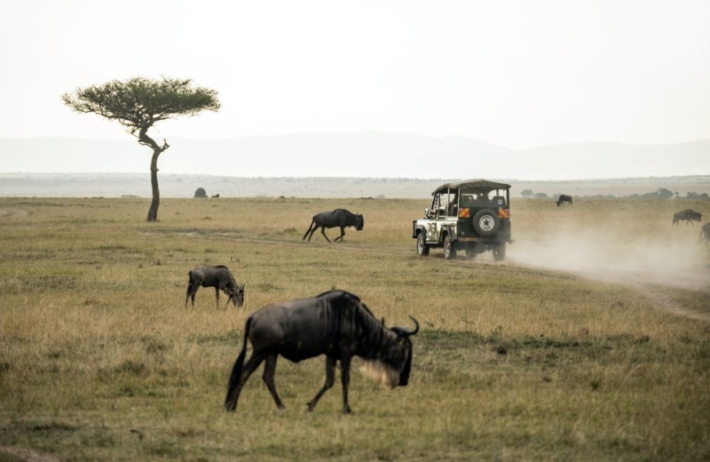 Kenya - a recipe for the perfect safari