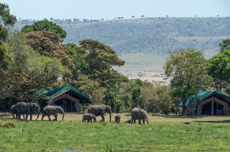 Kenya - a recipe for the perfect safari