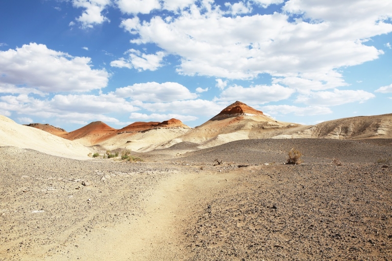 Mongolia: Gobi Desert Guide