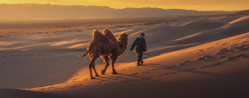 Mongolia: Gobi Desert Guide