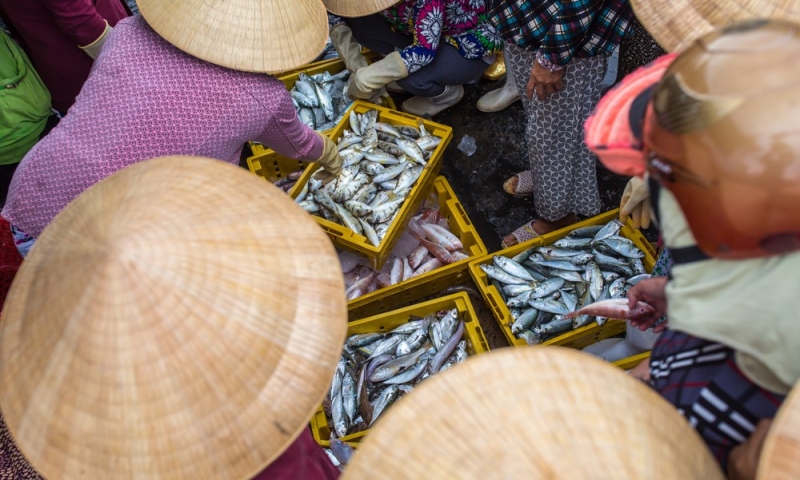 Mui Ne: holidays in the south of Vietnam