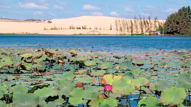 Mui Ne: holidays in the south of Vietnam