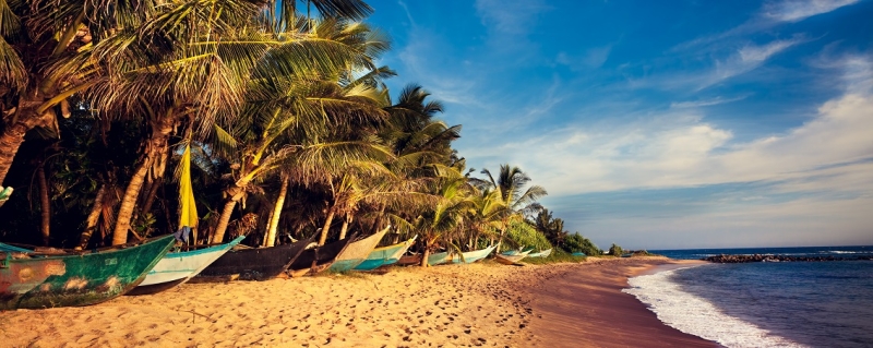 Not only the ocean: what to do in Sri Lanka