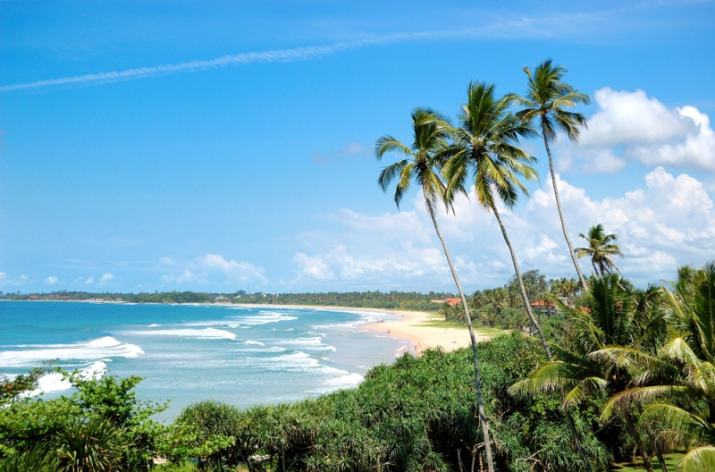 The best beaches in Sri Lanka: for surfing, families with children and a honeymoon