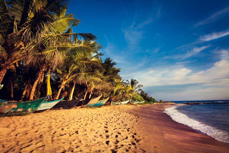 The best beaches in Sri Lanka: for surfing, families with children and a honeymoon