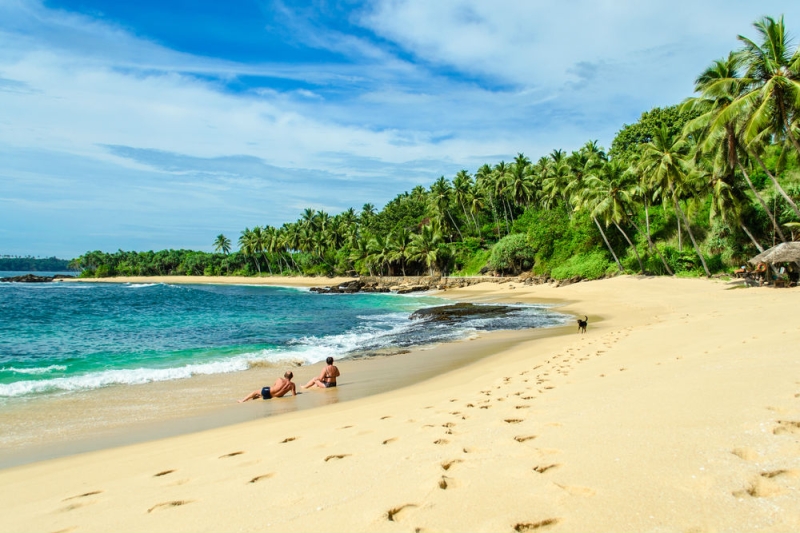 The best beaches in Sri Lanka: for surfing, families with children and a honeymoon