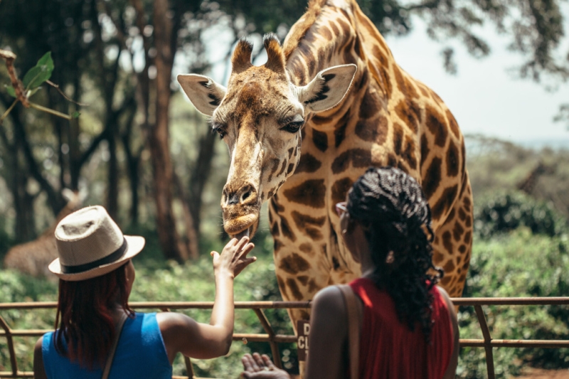 The charm of the African continent. Magical Kenya