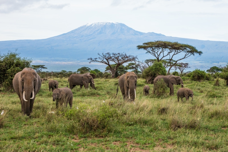 The charm of the African continent. Magical Kenya