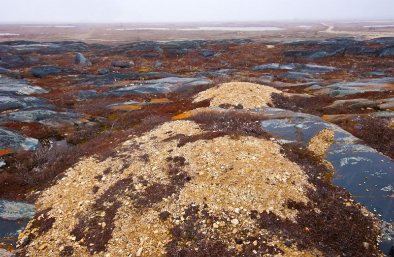 The northernmost country of migrants: 10 interesting facts about Canada