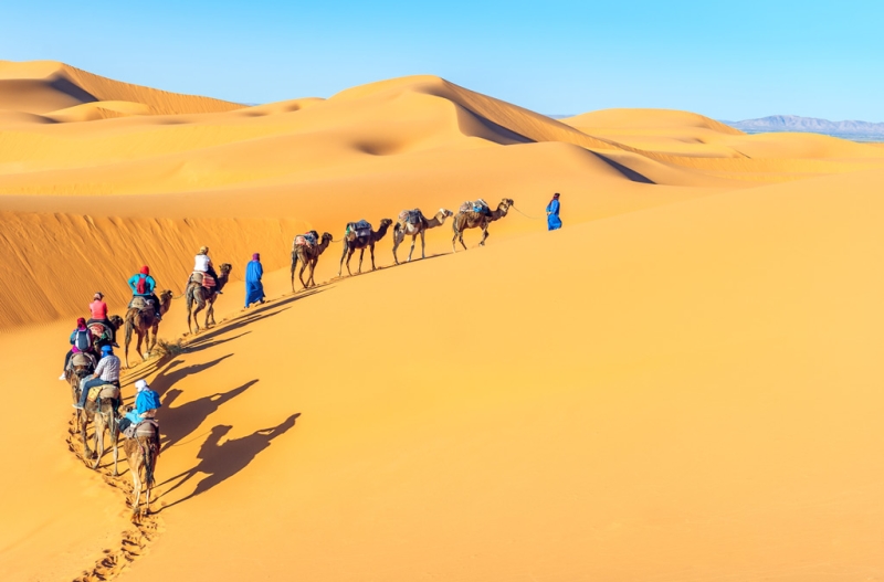 Traveling Morocco: from ocean to desert