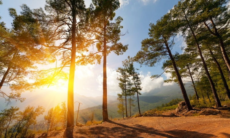 Türkiye: Western Lycian Way Route