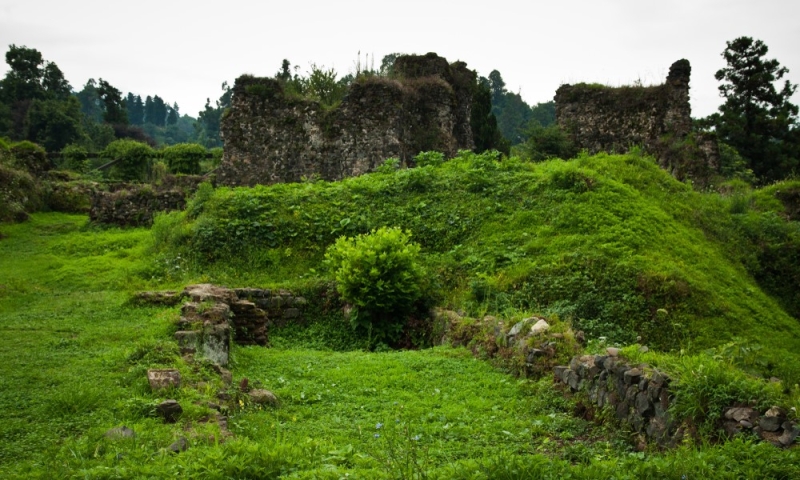 Unexplored Adjara: the riot of the jungle and the mysterious swamps of Spain