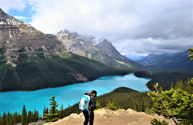 Waterfalls, parks and an underground city: the best family vacation in Canada