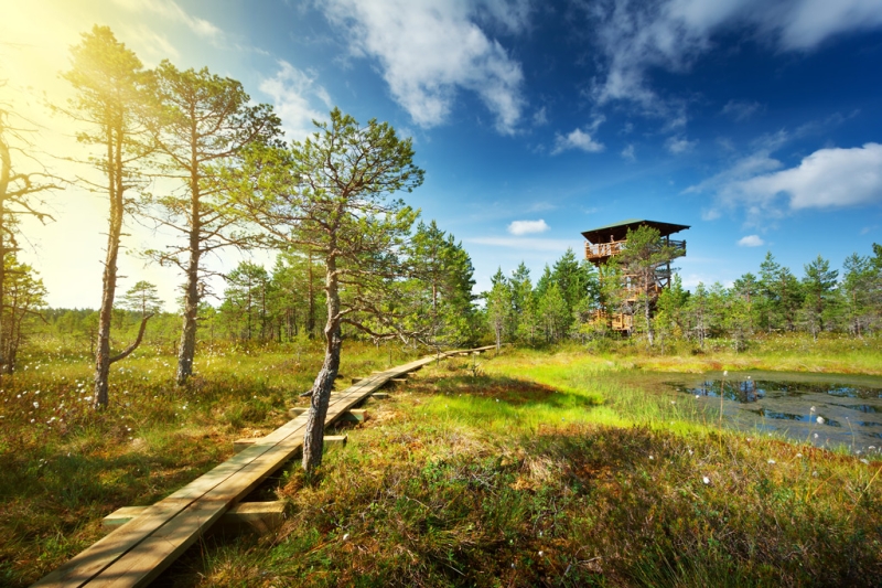 10 main attractions in Estonia