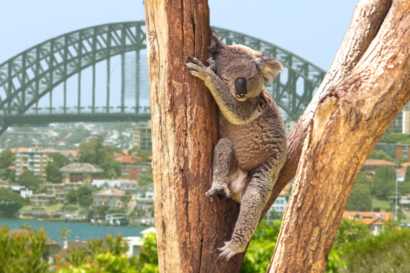 10 reasons to go to Australia