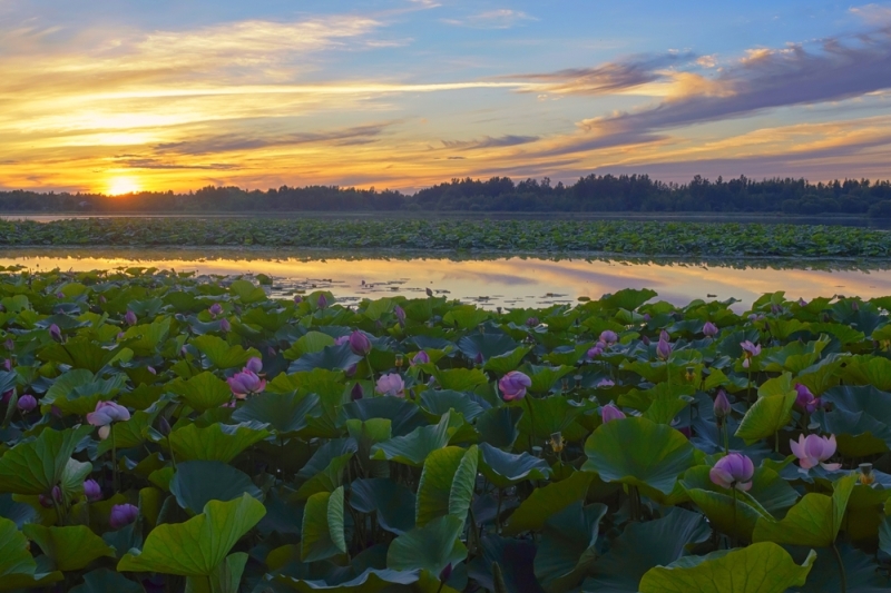 5 lakes for meditative journeys