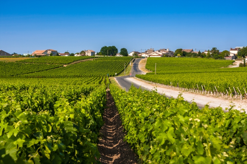 5 most beautiful cycling routes in France: castles, cliffs, palaces and the ocean coast