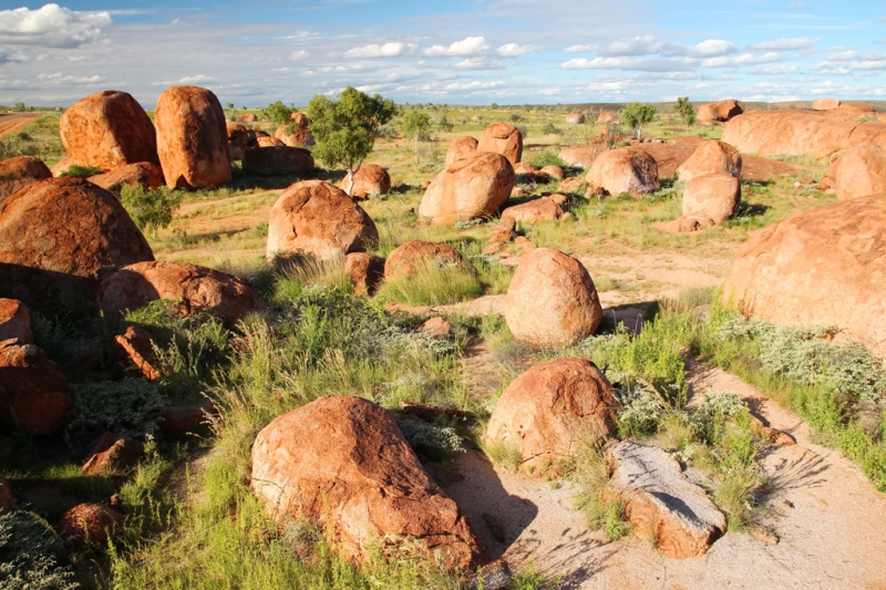 Australian Devil Balls - what&#39;s the secret?