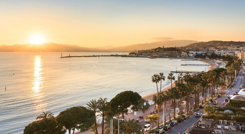 Cannes Film Festival: how to get to screenings, what to see and where to live