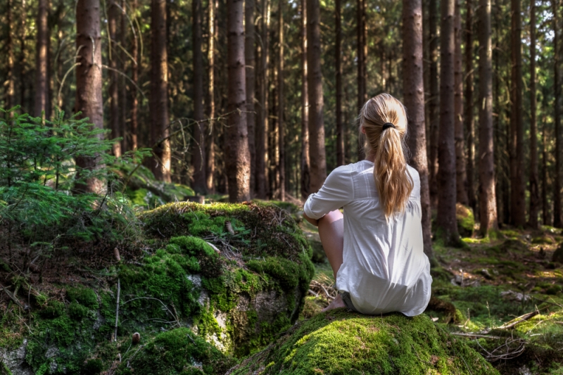 Endlessly look at the mountains, forest and water: ideal places for meditation