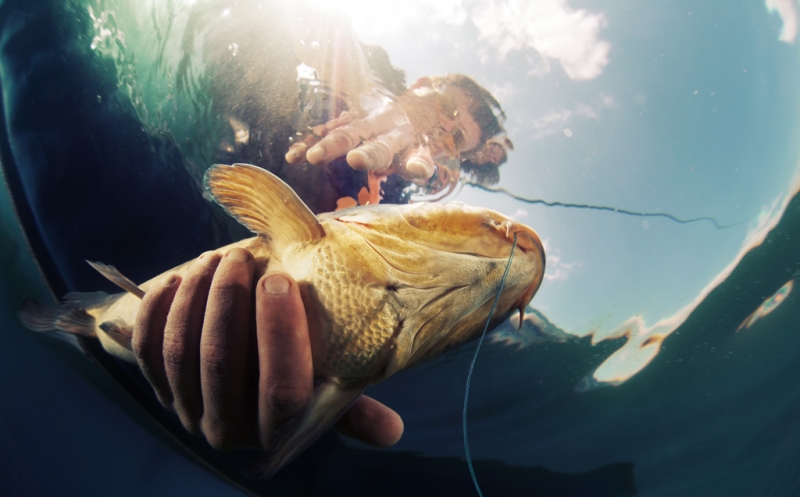 Finland: on vacation with a fishing rod and basket