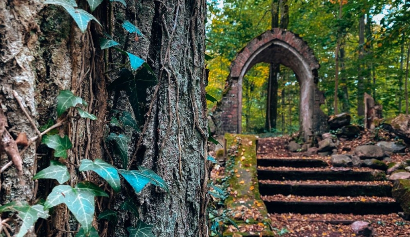 German “abandoned buildings” of the Kaliningrad region