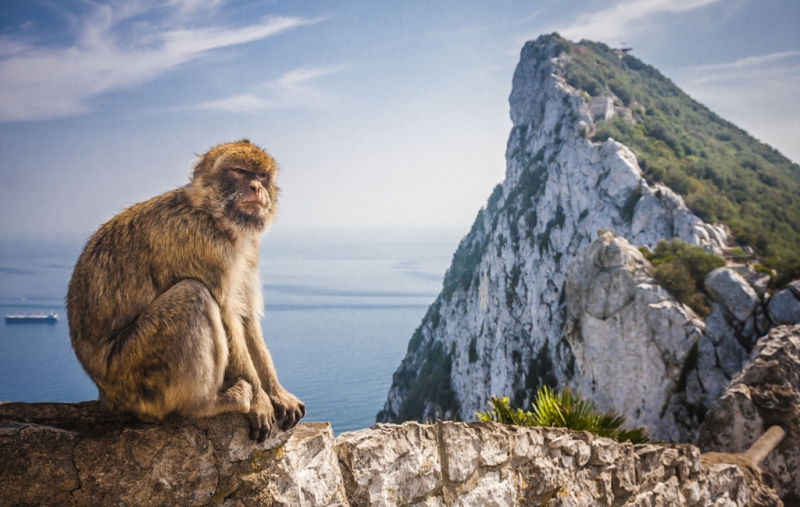 Gibraltar: what to do on a rock at the end of the world?