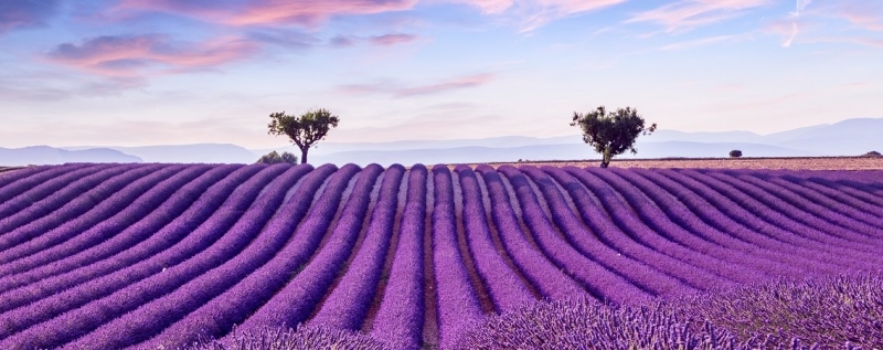 Guide to Provence