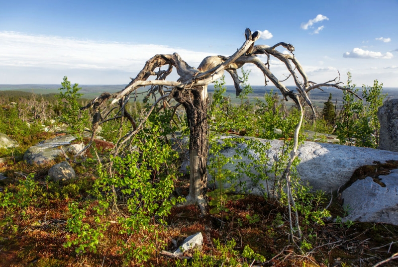 Holidays in Karelia in 2020: the abode of secrets and mother nature