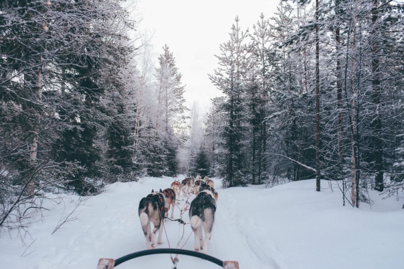 Karelia is a land with miraculous sights