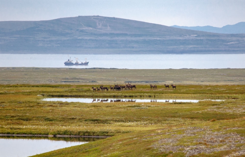 Kola Peninsula: accessible Arctic region