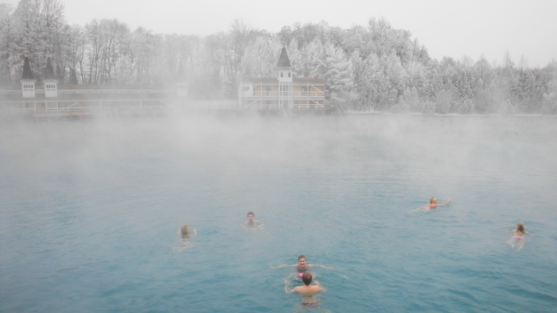 Lake Heviz: winter swimming among blooming lotuses