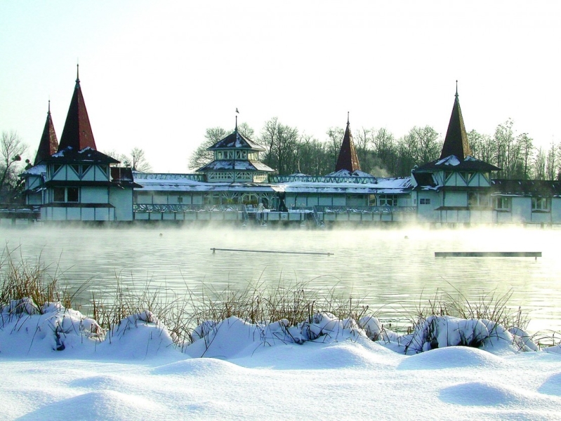 Lake Heviz: winter swimming among blooming lotuses